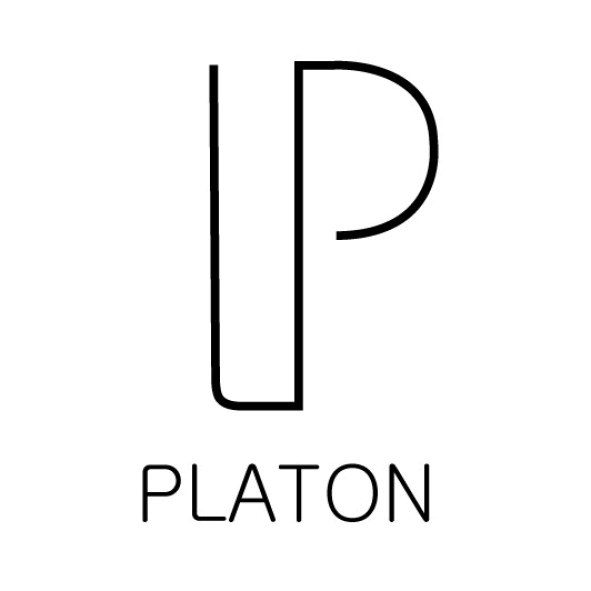 Мастерская образа PLATON